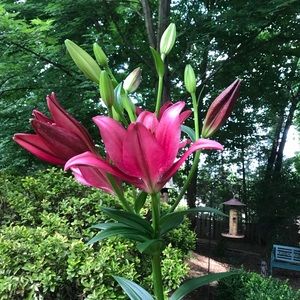 Meet your Posher, Margaret